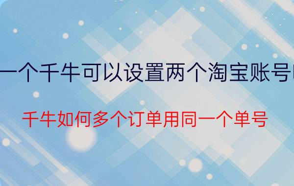 一个千牛可以设置两个淘宝账号吗 千牛如何多个订单用同一个单号？